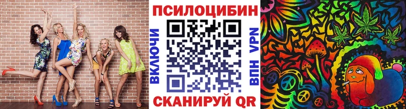 где купить наркоту  Холмск  OMG маркетплейс  Галлюциногенные грибы мухоморы 